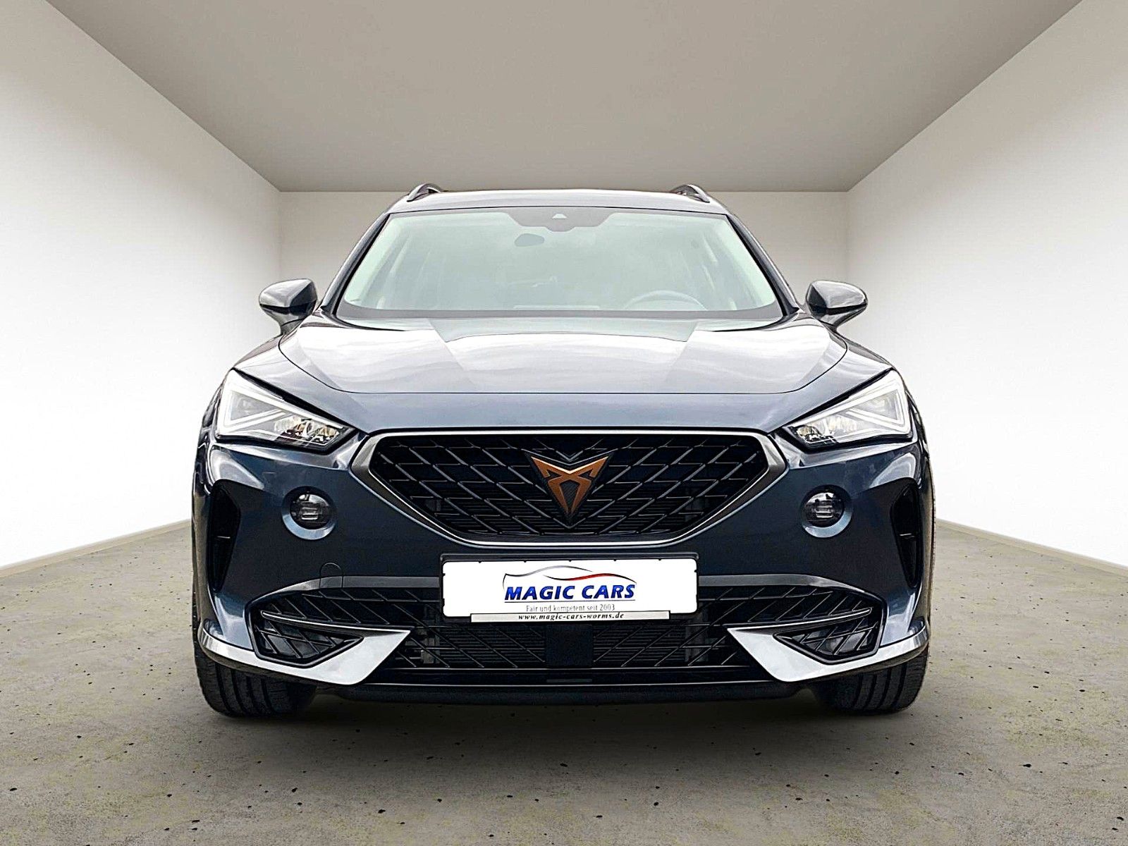 Fahrzeugabbildung CUPRA Formentor 1.5 TSI DSG *Teilleder*ACC*29.000KM*