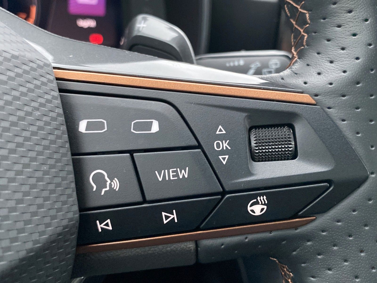 Fahrzeugabbildung CUPRA Formentor 1.5 TSI DSG *Teilleder*ACC*29.000KM*