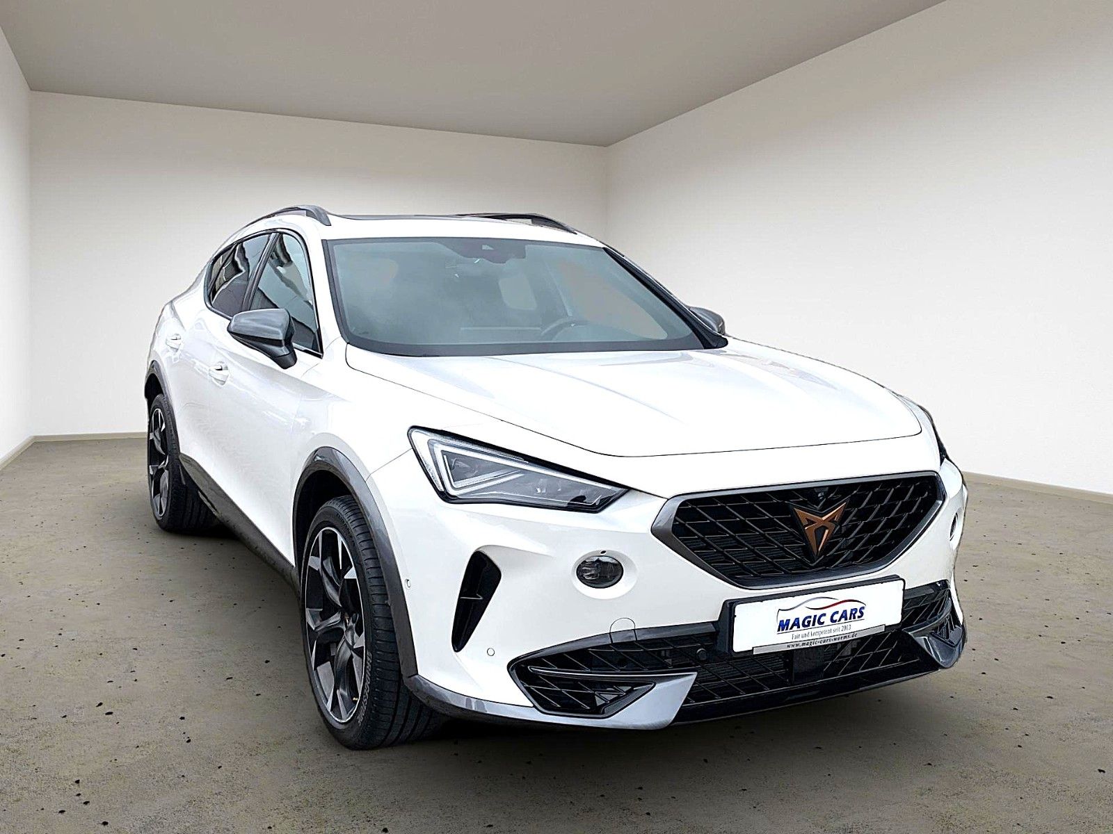 Fahrzeugabbildung CUPRA Formentor VZ 2.0TSI 4Drive DSG*Mega-Ausstattung*