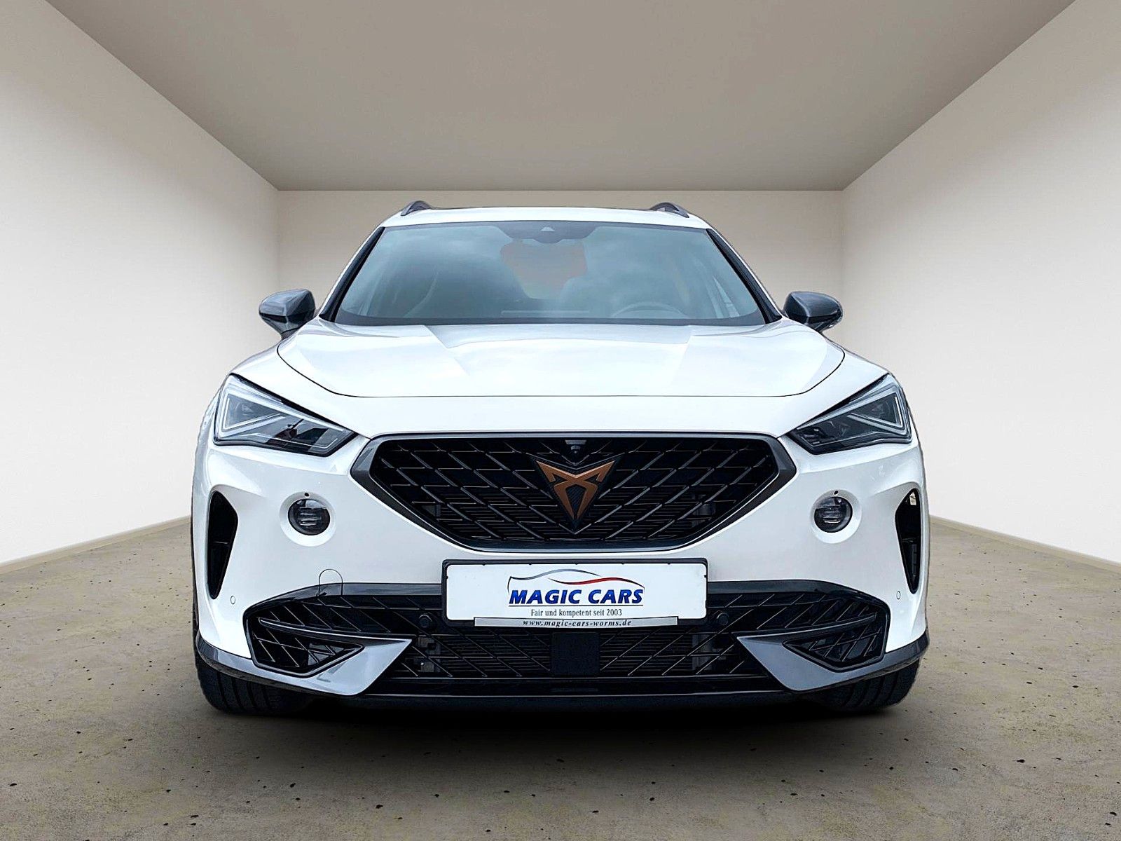 Fahrzeugabbildung CUPRA Formentor VZ 2.0TSI 4Drive DSG*Mega-Ausstattung*