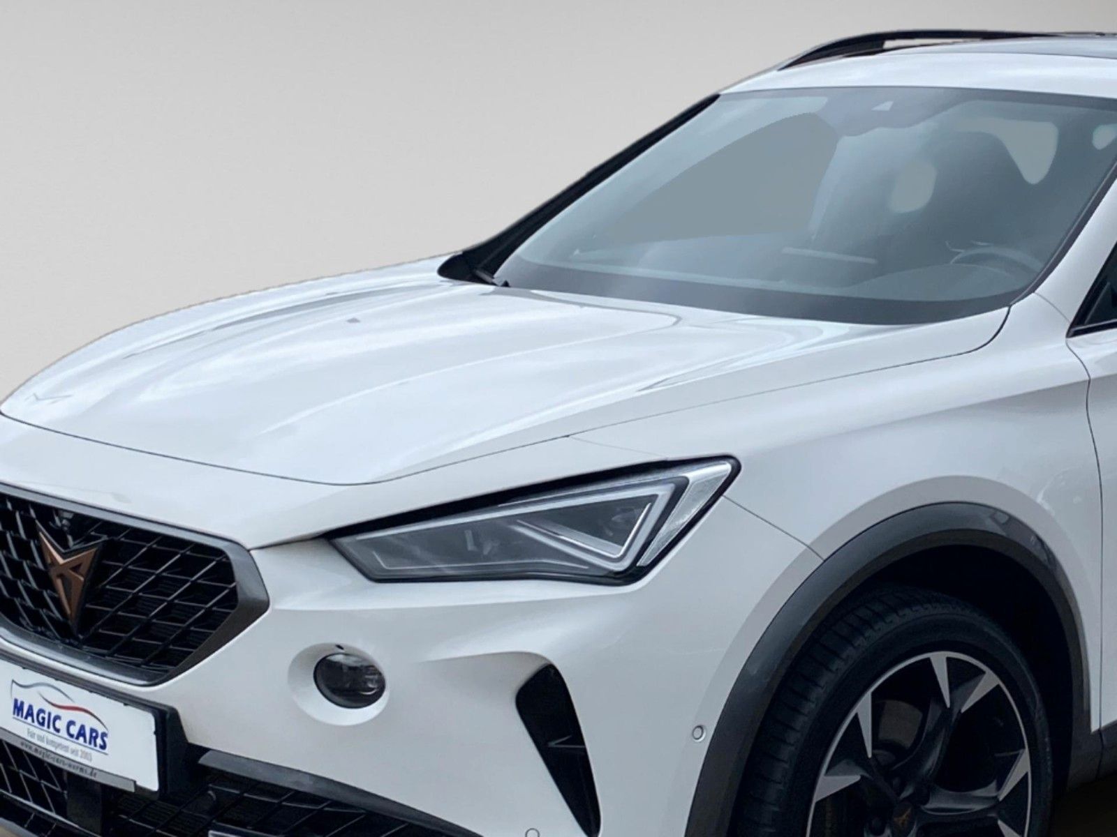 Fahrzeugabbildung CUPRA Formentor VZ 2.0TSI 4Drive DSG*Mega-Ausstattung*