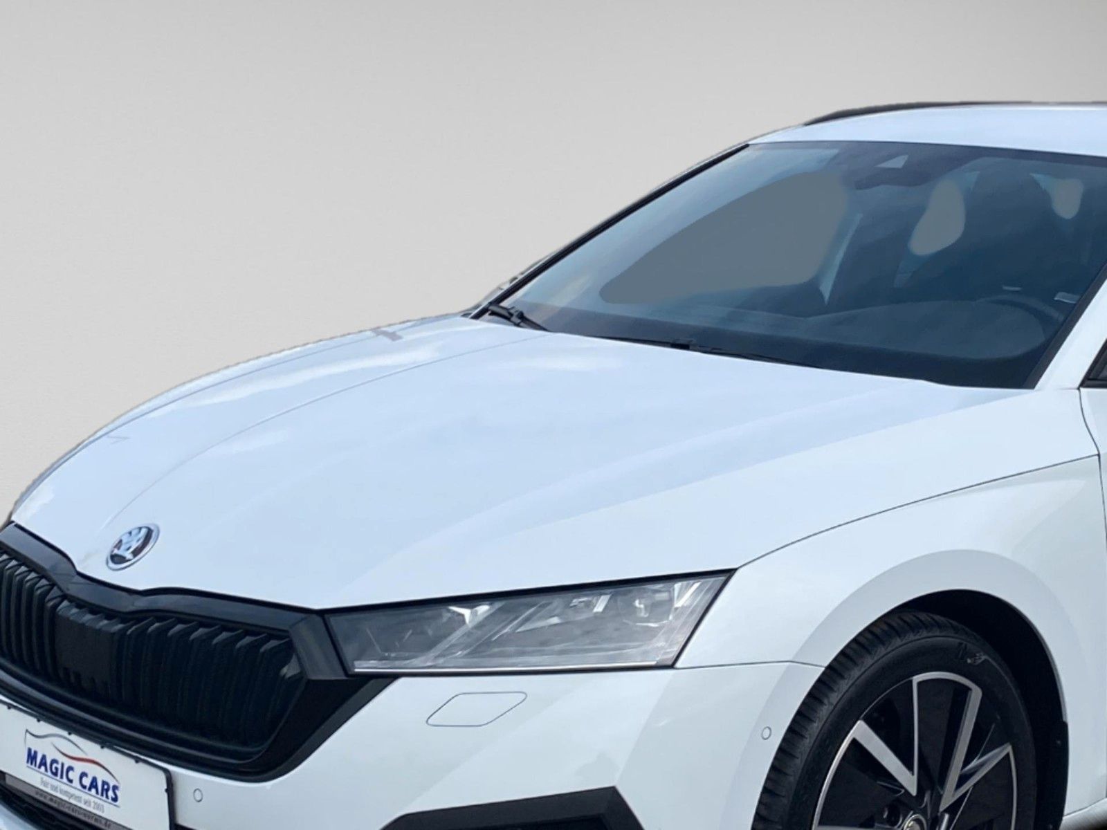 Fahrzeugabbildung SKODA Octavia Combi 2.0 TDI Sportline *Memory*CANTON*