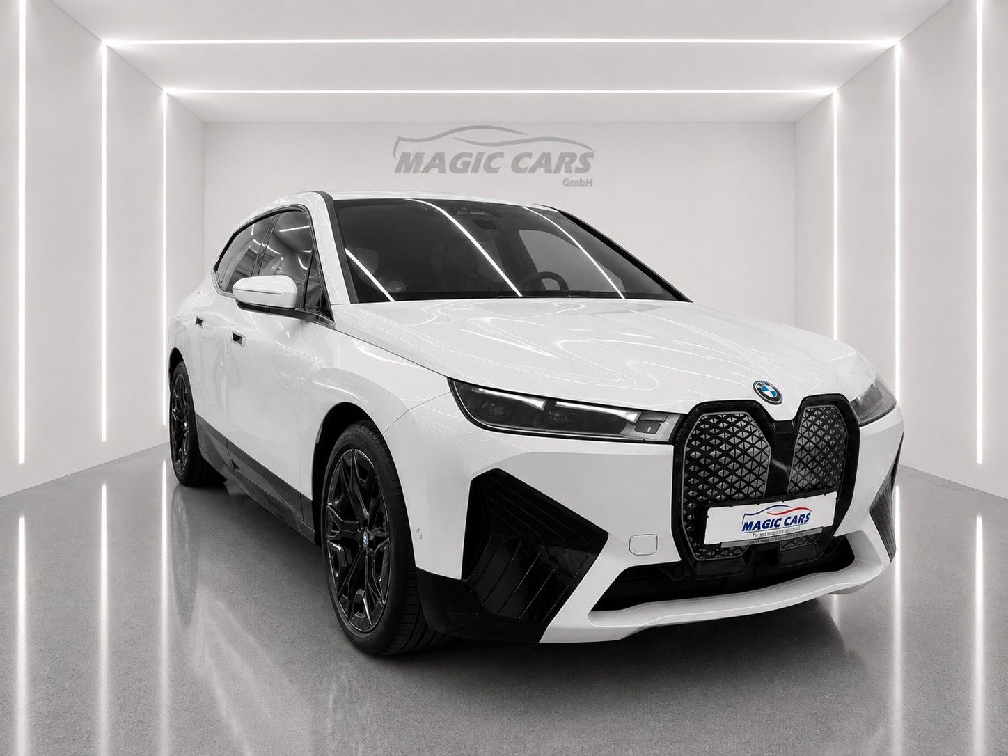 Fahrzeugabbildung BMW iX xDrive40 Sport *el.Sitze*Massage*Head-Up*360°