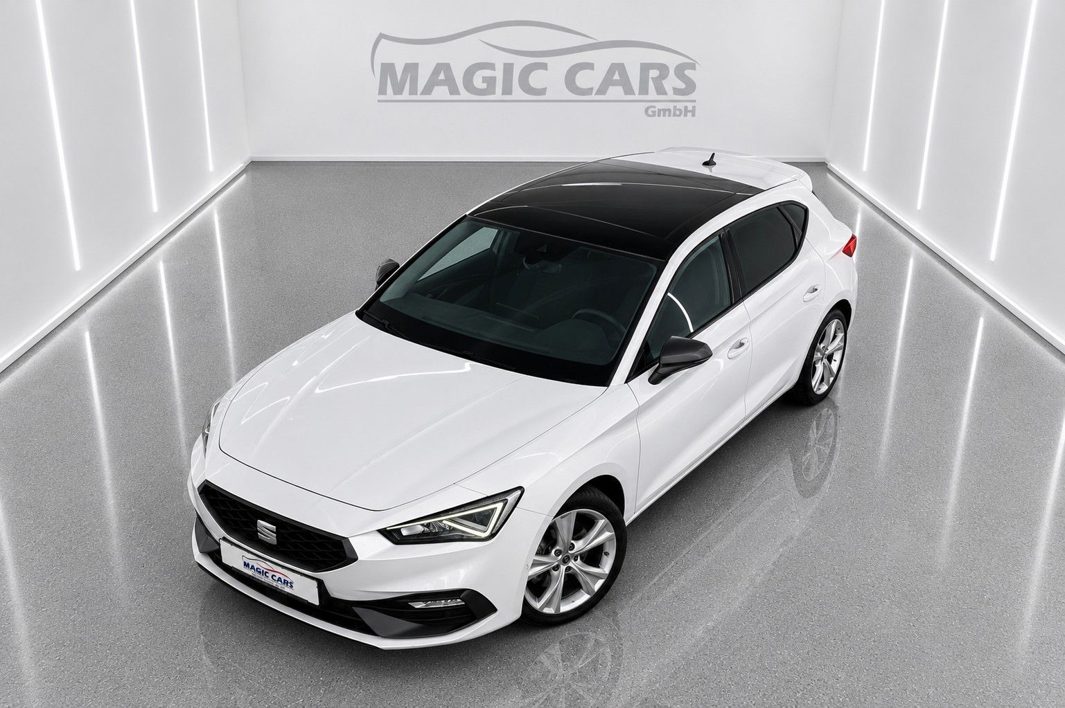 Fahrzeugabbildung SEAT Leon FR 2.0 TDI*Pano-Dach*Beats*DAB*Leder*Memory