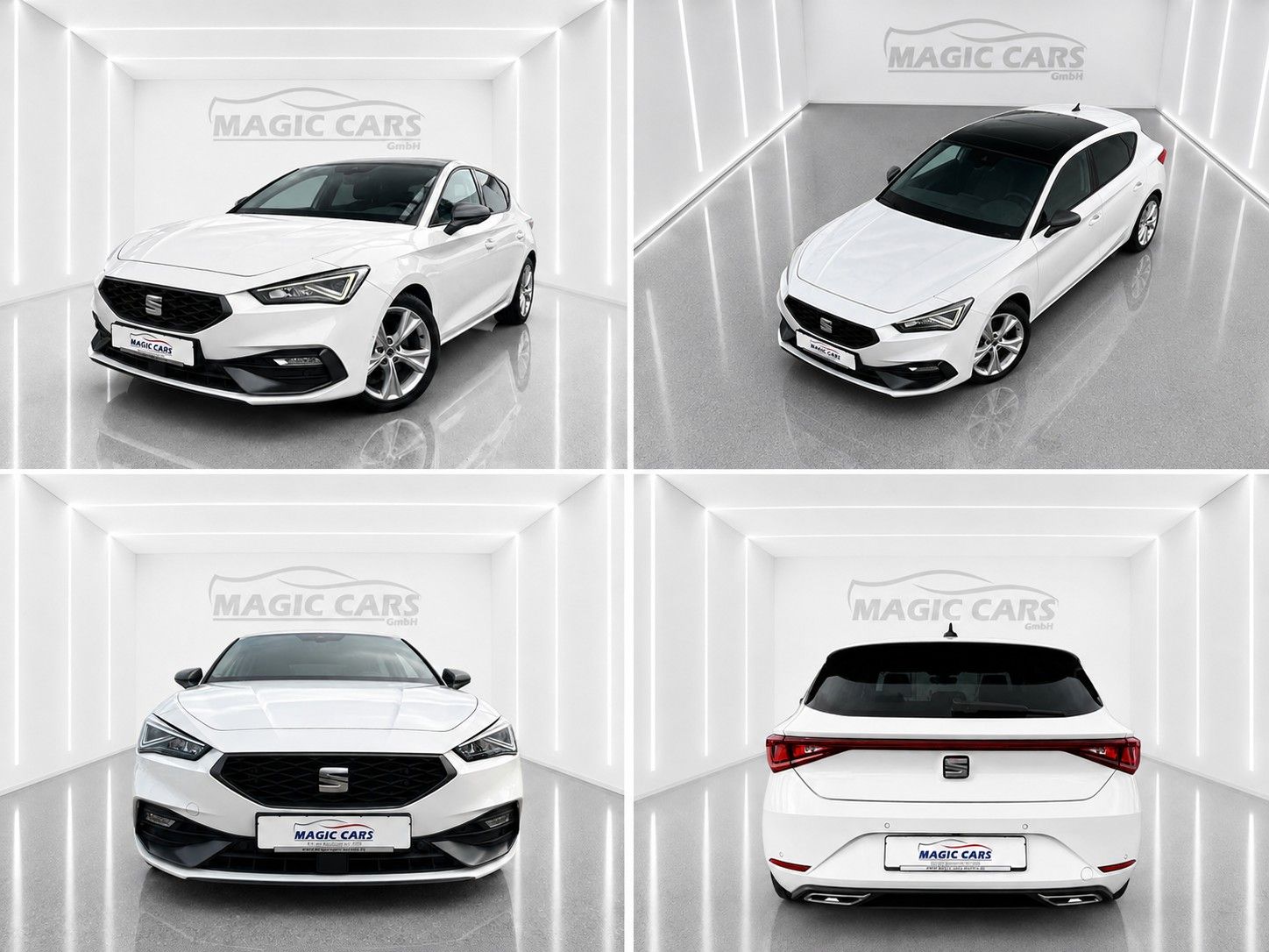 Fahrzeugabbildung SEAT Leon FR 2.0 TDI*Pano-Dach*Beats*DAB*Leder*Memory