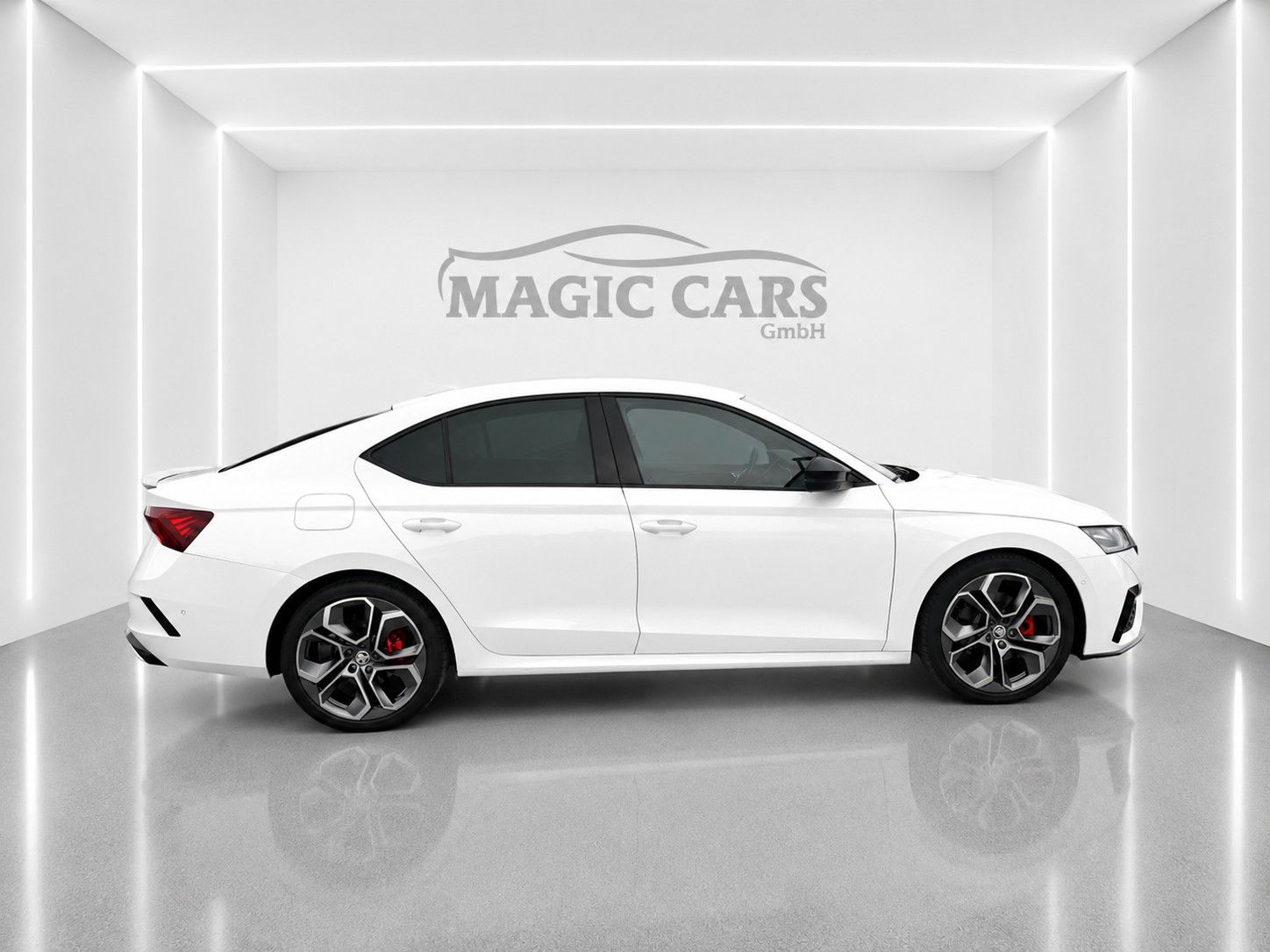 Fahrzeugabbildung SKODA Octavia 2.0 TDI DSG 4x4 RS *Mega-Ausstattung*