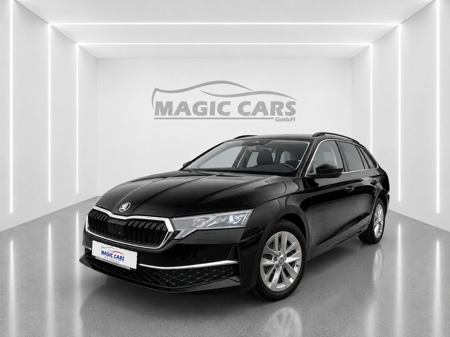 Fahrzeugabbildung SKODA Octavia Combi 2.0 TDI Selection *Matrix*Leder*