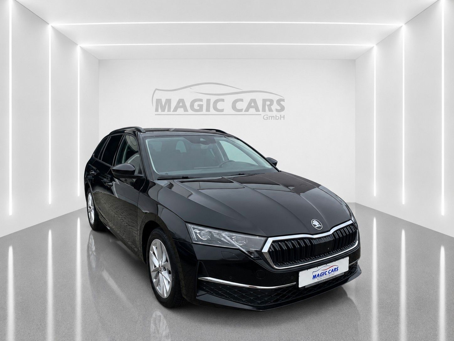 Fahrzeugabbildung SKODA Octavia Combi 2.0 TDI Selection *Matrix*Leder*