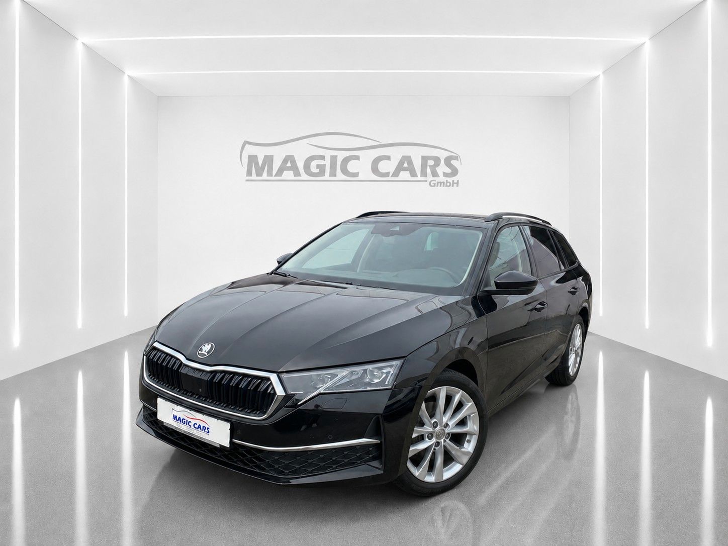Fahrzeugabbildung SKODA Octavia Combi 2.0 TDI Selection *Matrix*Leder*
