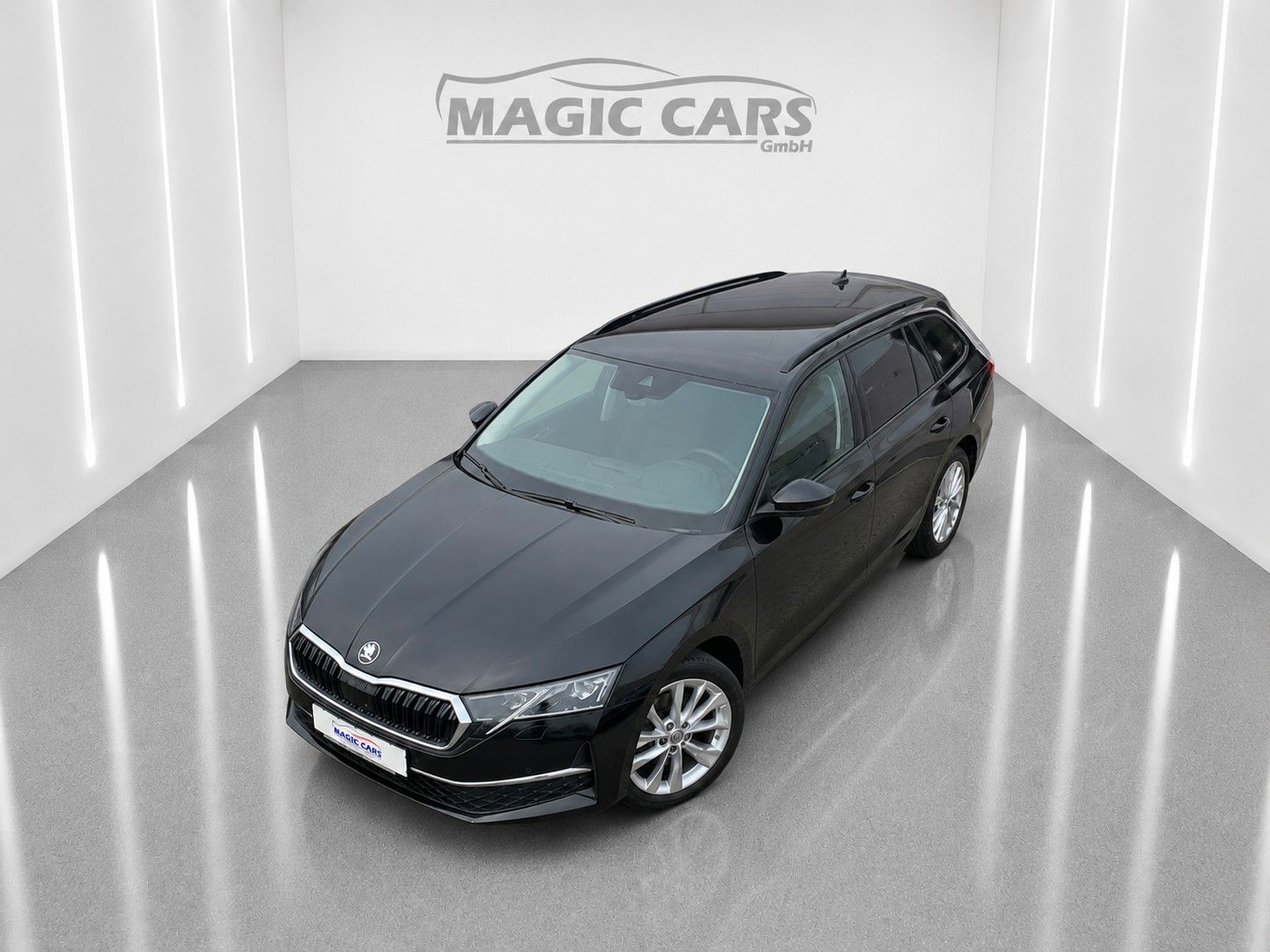 Fahrzeugabbildung SKODA Octavia Combi 2.0 TDI Selection *Matrix*Leder*