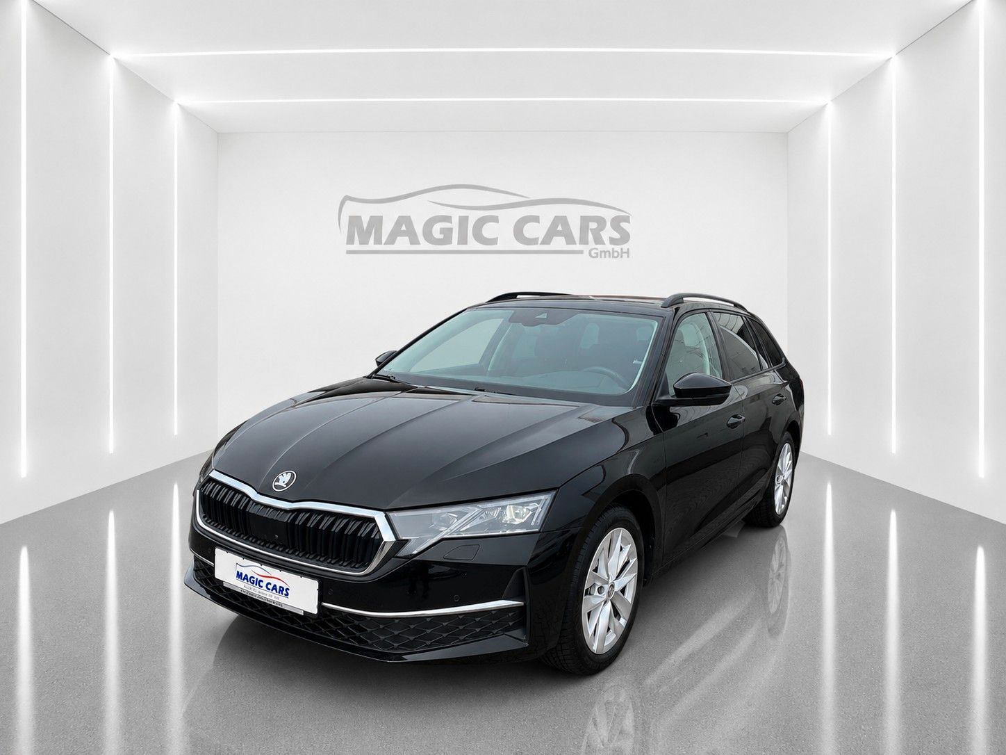 Fahrzeugabbildung SKODA Octavia Combi 2.0 TDI Selection *Matrix*Leder*