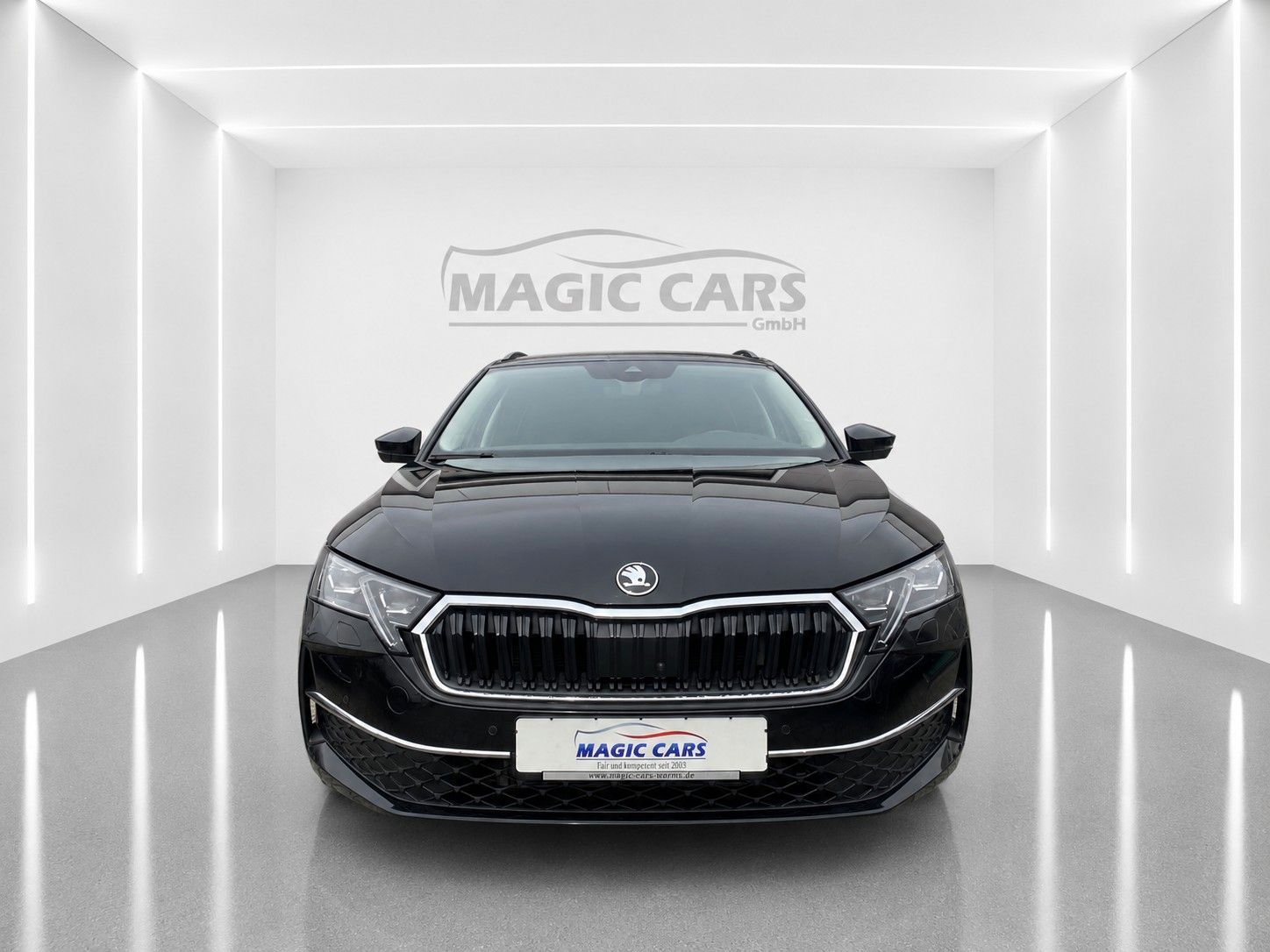Fahrzeugabbildung SKODA Octavia Combi 2.0 TDI Selection *Matrix*Leder*
