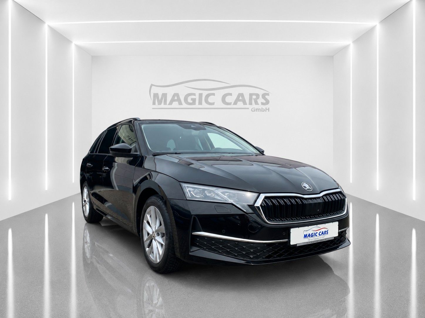 Fahrzeugabbildung SKODA Octavia Combi 2.0 TDI Selection *Matrix*Leder*